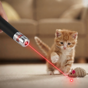 Laserpointer 200mW Rot